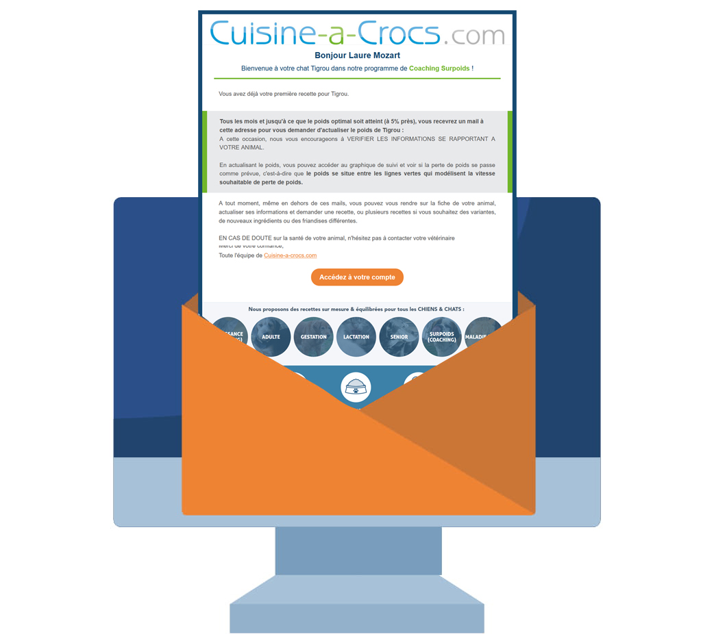 Email de suivi chat Tigrou en coaching surpoids