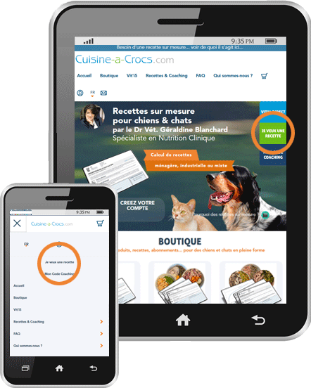 Cuisine-a-crocs - je veux un recette - tablette et mobile
